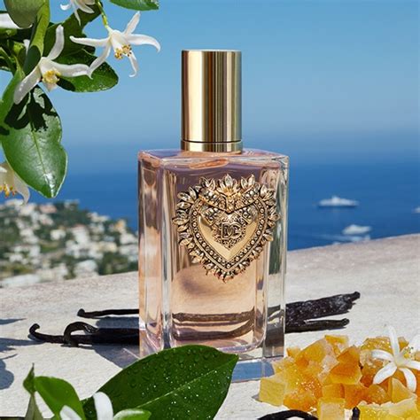 dolce gabbana devotion parfum douglas|devotion dolce and gabbana.